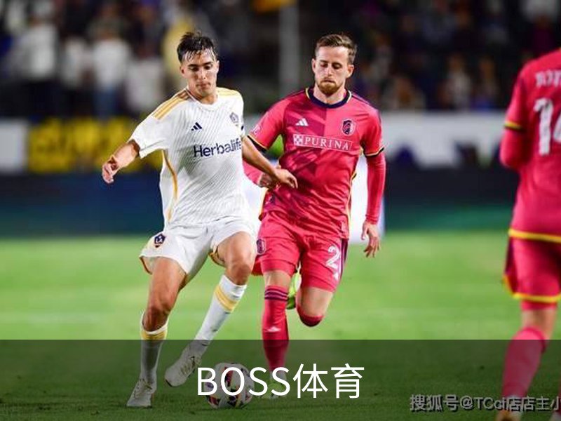 关于BOSS体育
